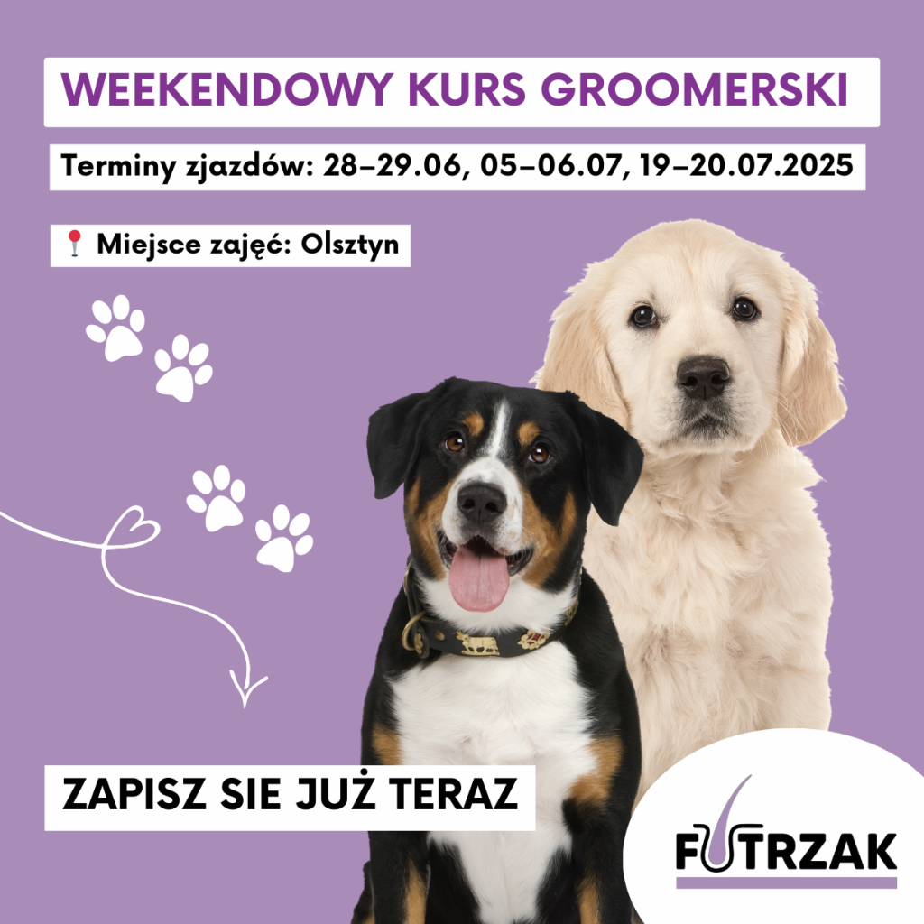 KURS GROOMERSKI INDYWIDUALNY 1:1 – OLSZTYN, WARMIŃSKO-MAZURSKIE