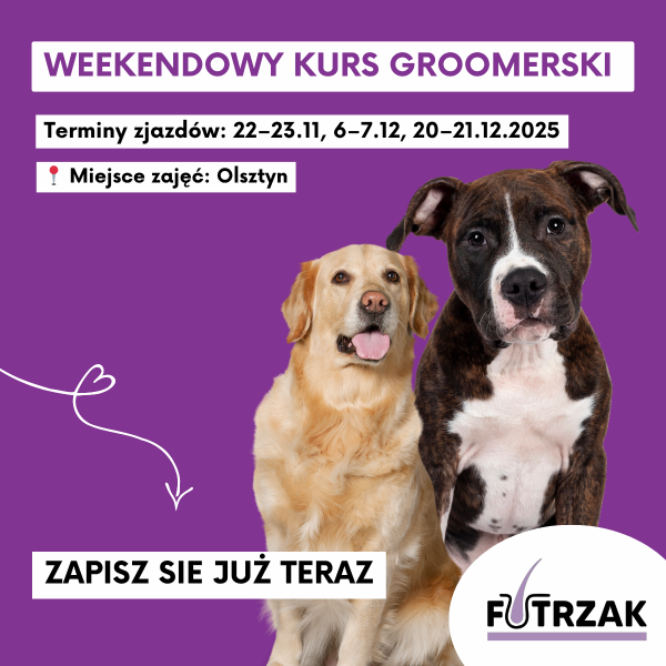 KURS GROOMERSKI INDYWIDUALNY 1:1 – OLSZTYN, WARMIŃSKO-MAZURSKIE | 3 zjazdy weekendowe | listopad / grudzień