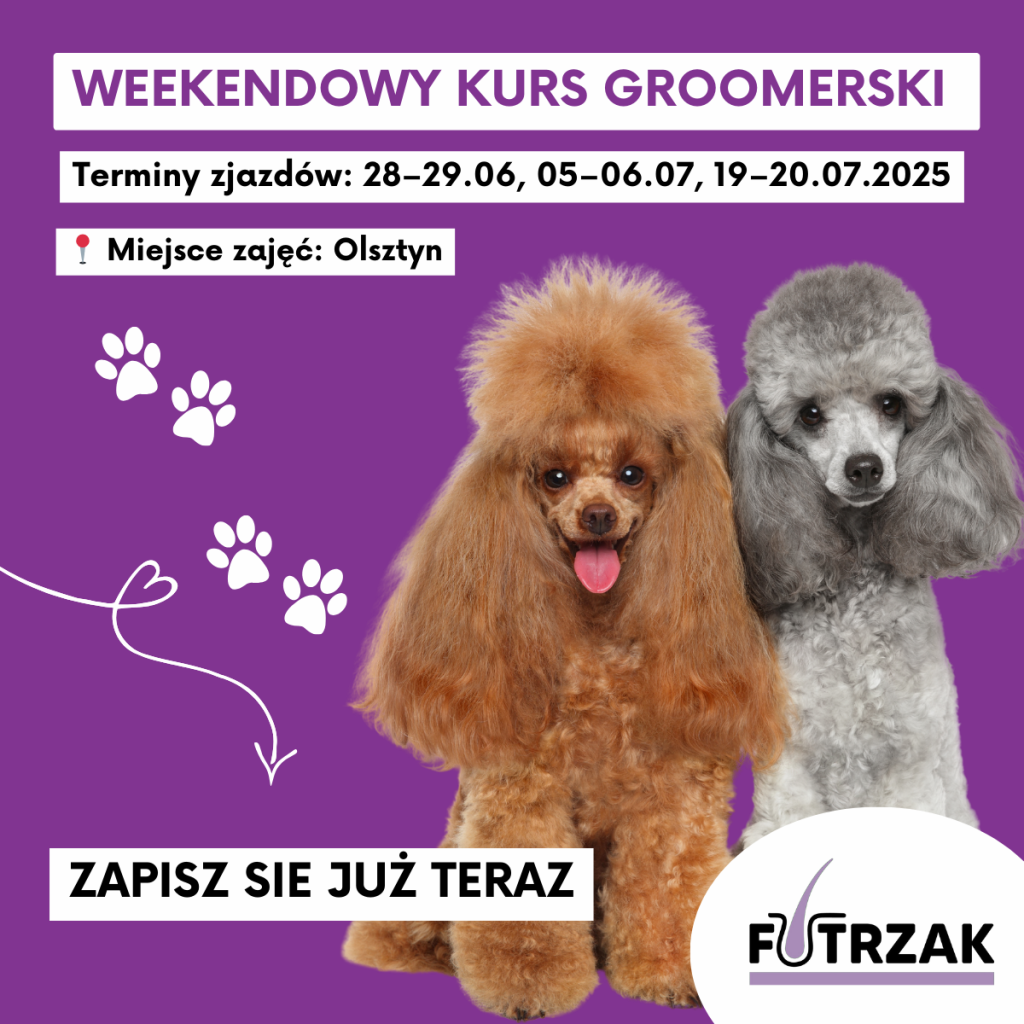 KURS GROOMERSKI GRUPOWY – OLSZTYN, WARMIŃSKO-MAZURSKIE