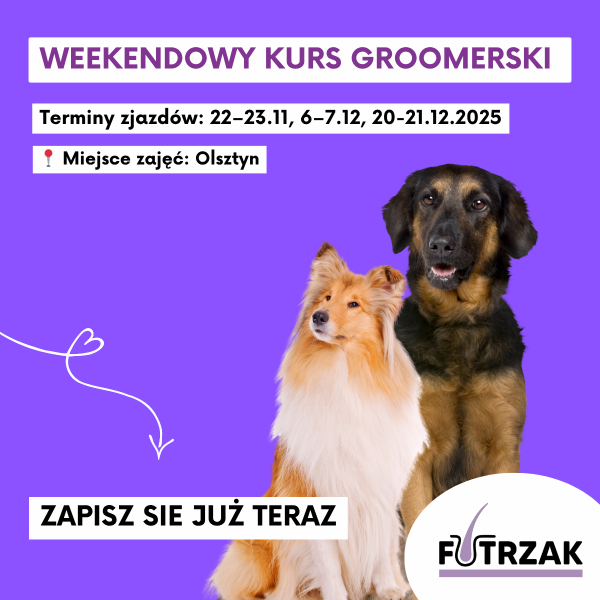 KURS GROOMERSKI GRUPOWY (2 osoby) | Warmińsko-Mazurskie – Olsztyn | 3 zjazdy weekendowe | listopad / grudzień