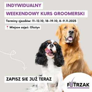 KURS GROOMERSKI INDYWIDUALNY 1:1 – OLSZTYN, WARMIŃSKO-MAZURSKIE | 3 zjazdy weekendowe | październik / listopad