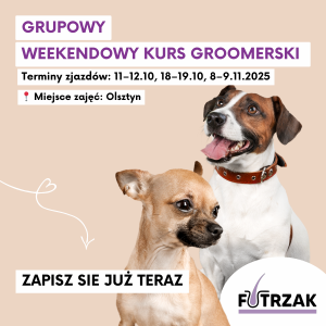 KURS GROOMERSKI GRUPOWY (2 osoby) | Warmińsko-Mazurskie – Olsztyn | 3 zjazdy weekendowe | październik / listopad