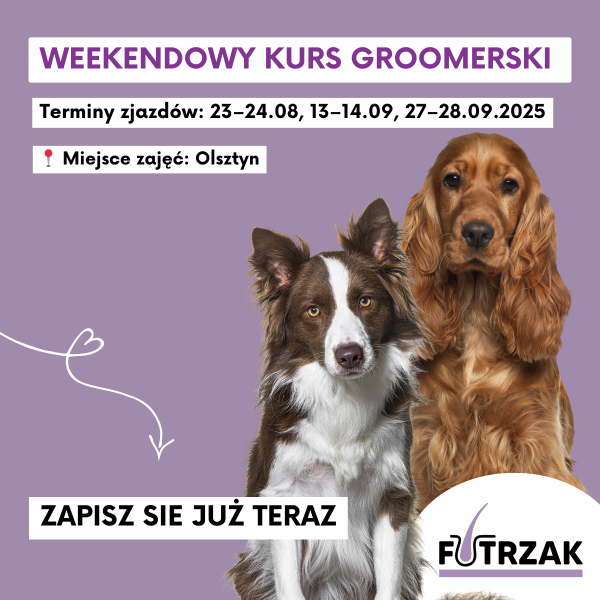KURS GROOMERSKI GRUPOWY (2 osoby) | Warmińsko-Mazurskie – Olsztyn | 3 zjazdy weekendowe | sierpień / wrzesień