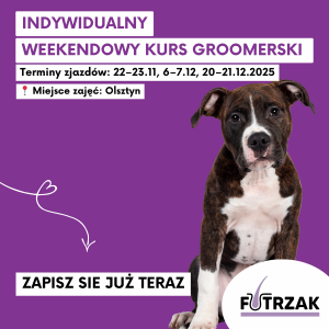 KURS GROOMERSKI INDYWIDUALNY 1:1 – OLSZTYN, WARMIŃSKO-MAZURSKIE | 3 zjazdy weekendowe | listopad / grudzień