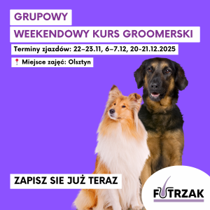 KURS GROOMERSKI GRUPOWY (2 osoby) | Warmińsko-Mazurskie – Olsztyn | 3 zjazdy weekendowe | listopad / grudzień
