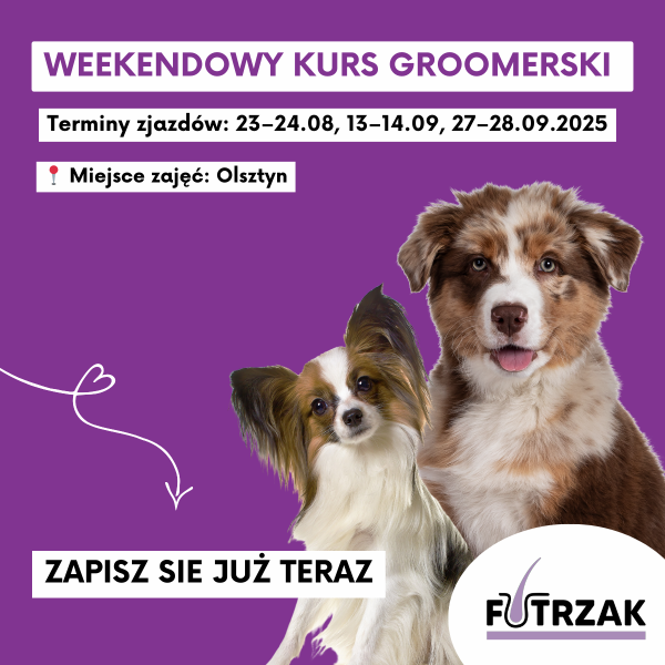 KURS GROOMERSKI INDYWIDUALNY 1:1 – OLSZTYN, WARMIŃSKO-MAZURSKIE | 3 zjazdy weekendowe | sierpień / wrzesień