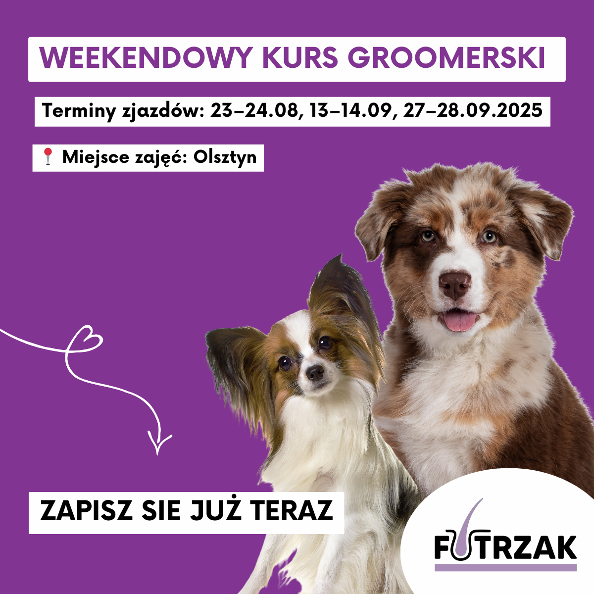 KURS GROOMERSKI INDYWIDUALNY 1:1 – OLSZTYN, WARMIŃSKO-MAZURSKIE | 3 zjazdy weekendowe | sierpień / wrzesień