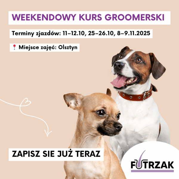 KURS GROOMERSKI INDYWIDUALNY 1:1 – OLSZTYN, WARMIŃSKO-MAZURSKIE | 3 zjazdy weekendowe | październik / listopad