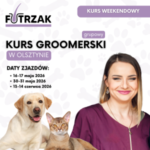 KURS GROOMERSKI GRUPOWY | Warmińsko-Mazurskie – Olsztyn | 3 zjazdy weekendowe | maj-czerwiec 2026