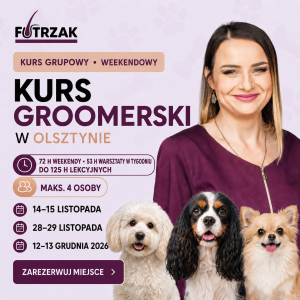 Weekendowy kurs groomerski Olsztyn – listopad/grudzień 2026