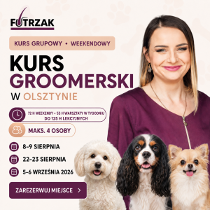 Grupowy kurs groomerski Olsztyn – sierpień/wrzesień 2026