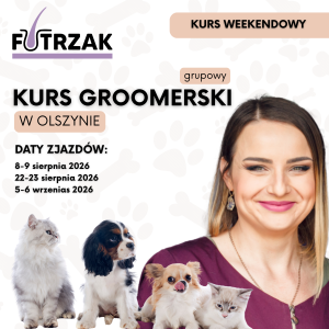 KURS GROOMERSKI GRUPOWY | Warmińsko-Mazurskie – Olsztyn | 3 zjazdy weekendowe | sierpień-wrzesień 2026