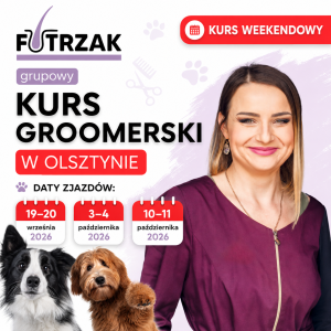 KURS GROOMERSKI GRUPOWY | Warmińsko-Mazurskie – Olsztyn | 3 zjazdy weekendowe | wrzesień – październik