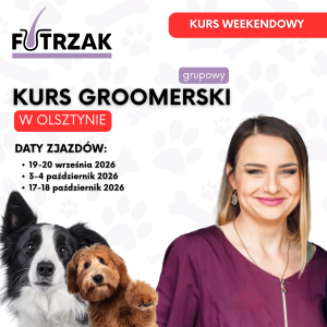 KURS GROOMERSKI GRUPOWY | Warmińsko-Mazurskie – Olsztyn | 3 zjazdy weekendowe | wrzesień – październik