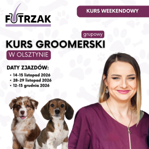 KURS GROOMERSKI GRUPOWY | Warmińsko-Mazurskie – Olsztyn | 3 zjazdy weekendowe | listopad – grudzień